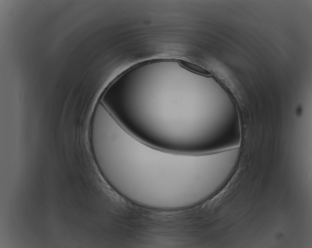 X0000097851284200803140848