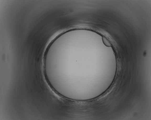 X0000097851286200803140848