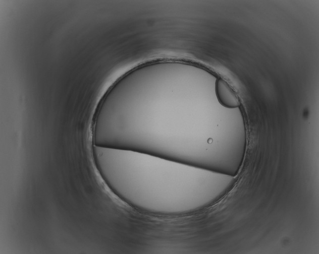 X0000097851287200803140848