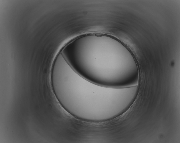 X0000097851288200803140848