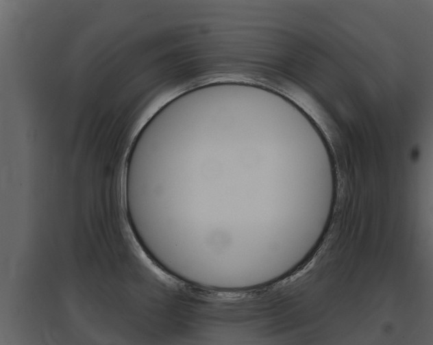 X0000097851290200803140848