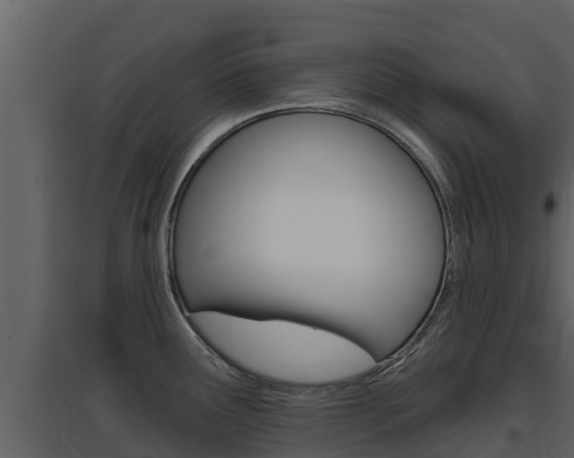 X0000097851291200803140848
