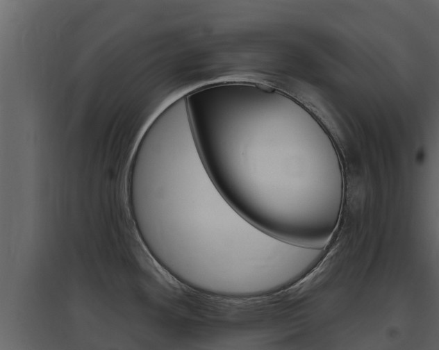 X0000097851292200803140848