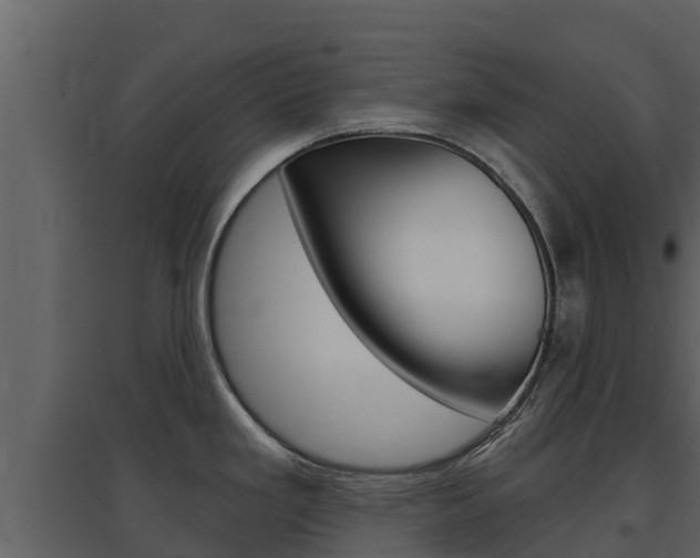 X0000097851293200803140848