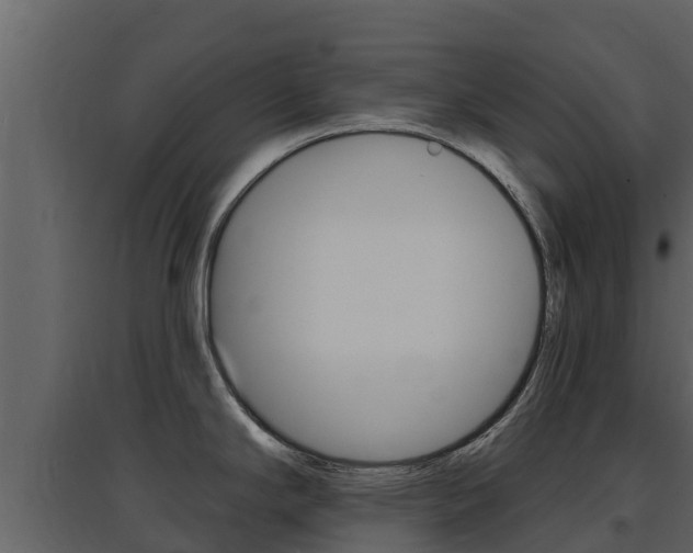 X0000097851294200803140848