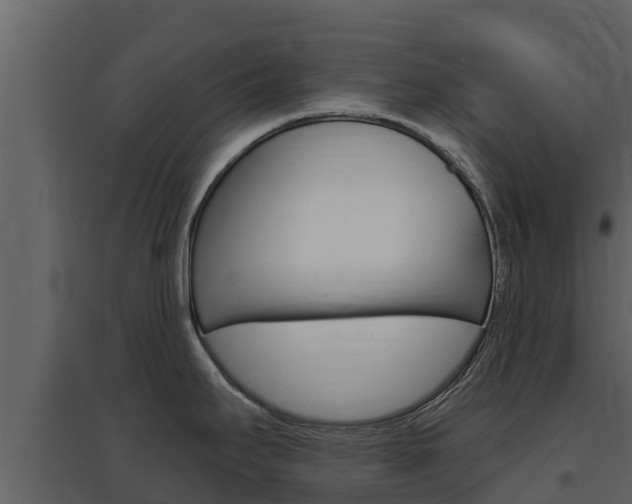 X0000097851295200803140848