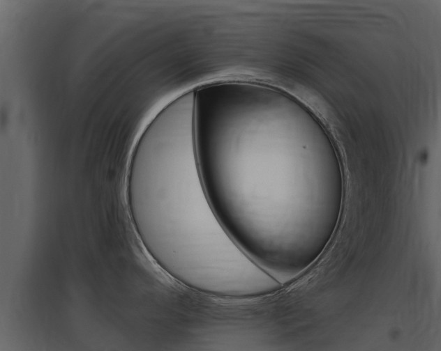 X0000097851296200803140848