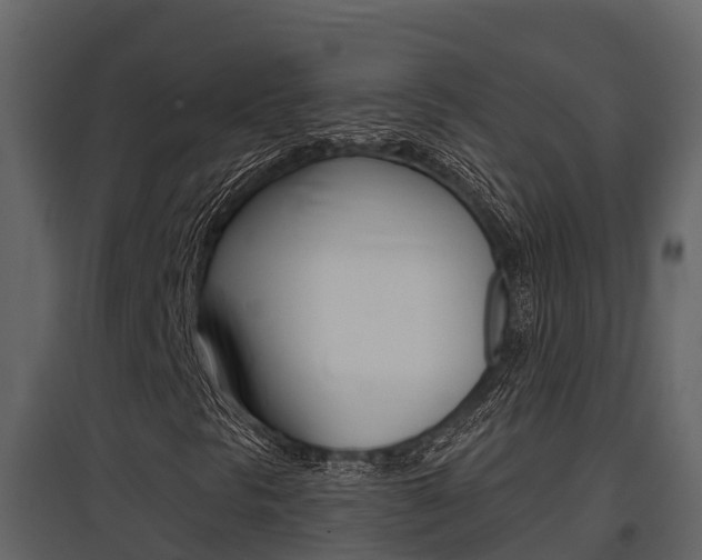 X0000097851297200803140847
