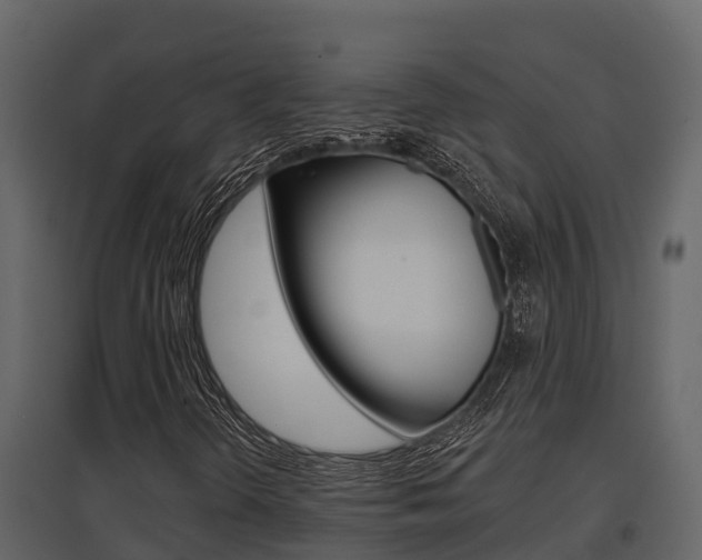 X0000097851298200803140847