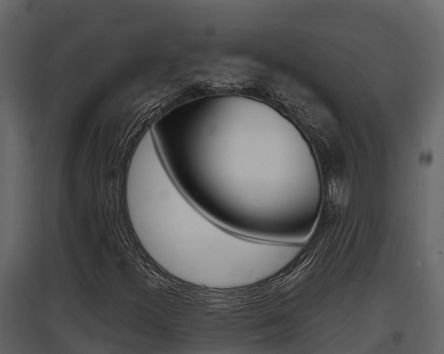 X0000097851300200803140847