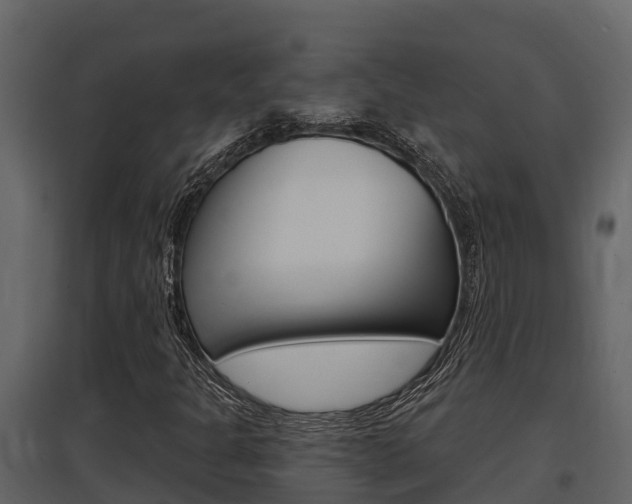 X0000097851301200803140848