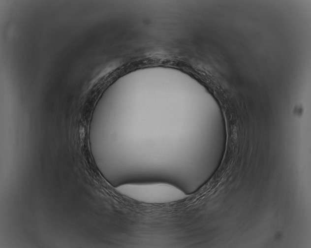 X0000097851302200803140848