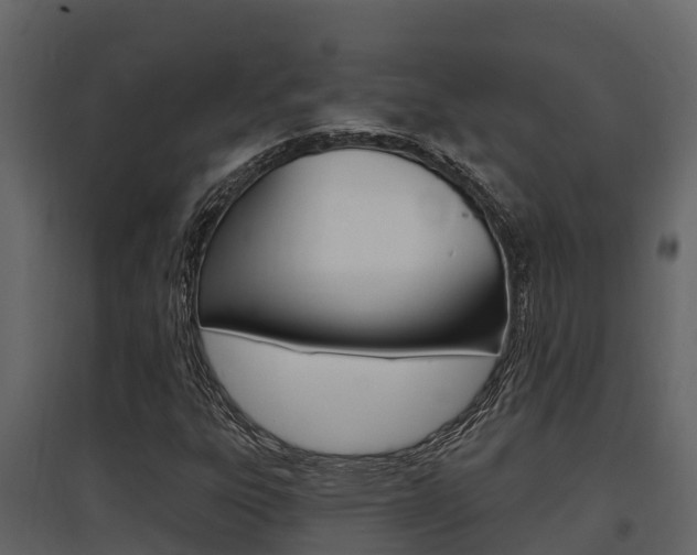 X0000097851303200803140848