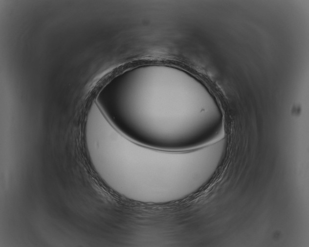 X0000097851304200803140848