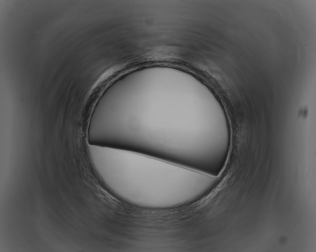 X0000097851306200803140848