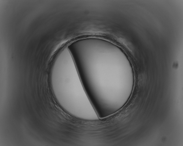 X0000097851307200803140848