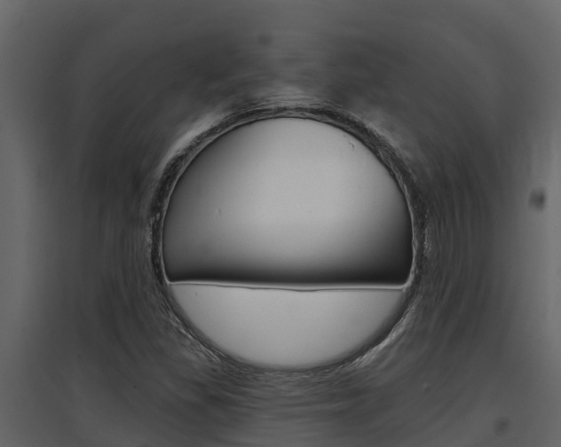 X0000097851309200803140848