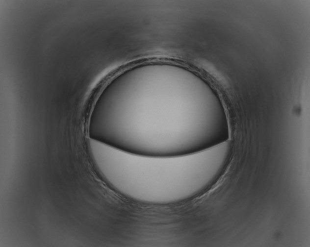 X0000097851310200803140848