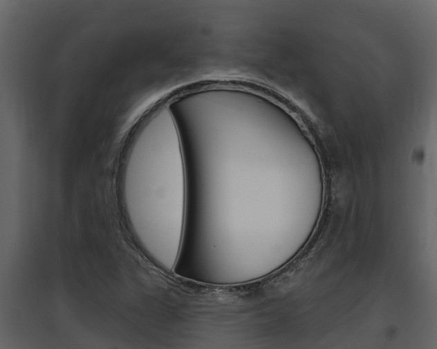 X0000097851311200803140848