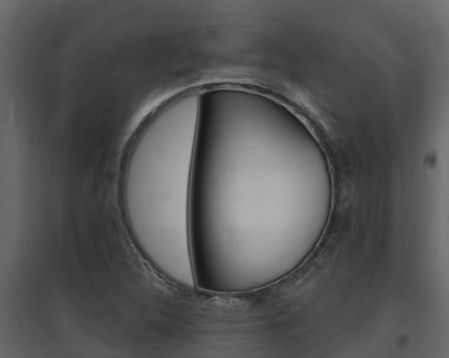 X0000097851312200803140848