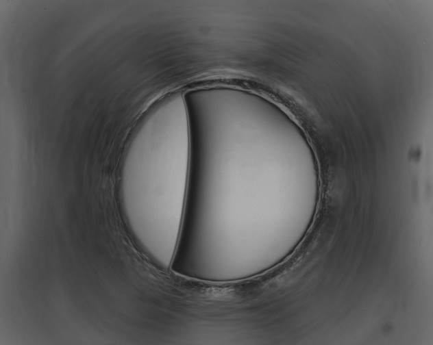 X0000097851313200803140848