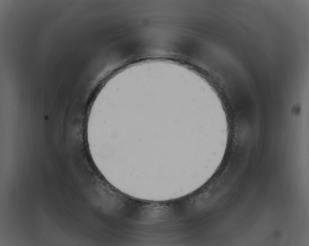 X0000097851314200803140848