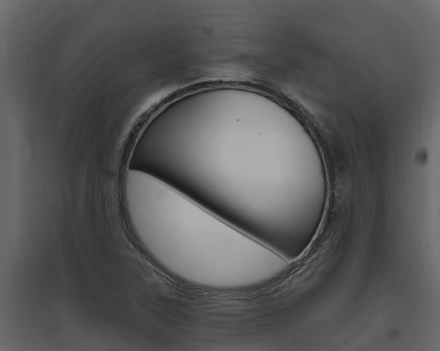 X0000097851315200803140848