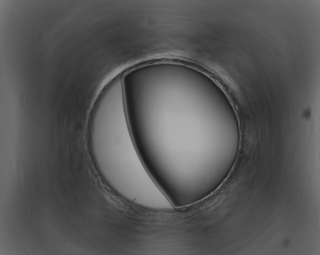 X0000097851316200803140848