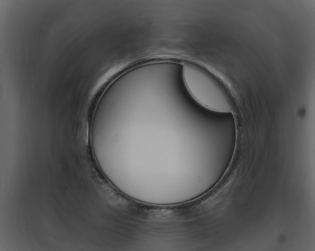 X0000097851317200803140848