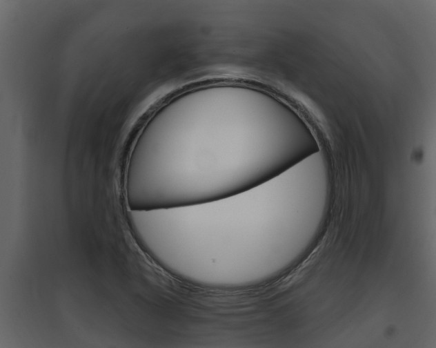 X0000097851318200803140848