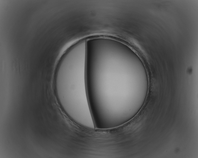 X0000097851320200803140848
