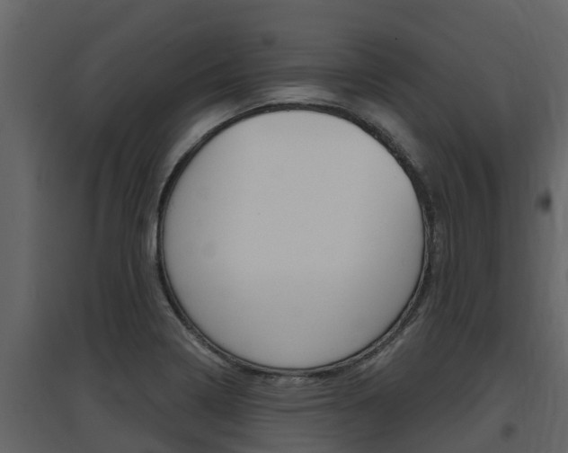 X0000097851322200803140848