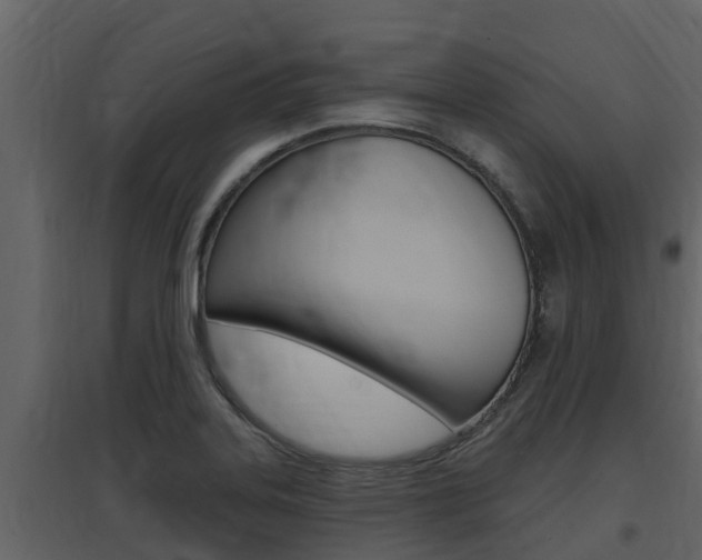 X0000097851323200803140848