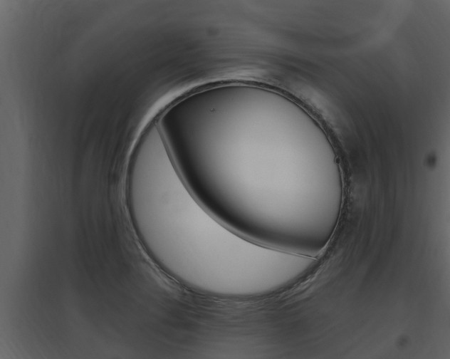 X0000097851324200803140848