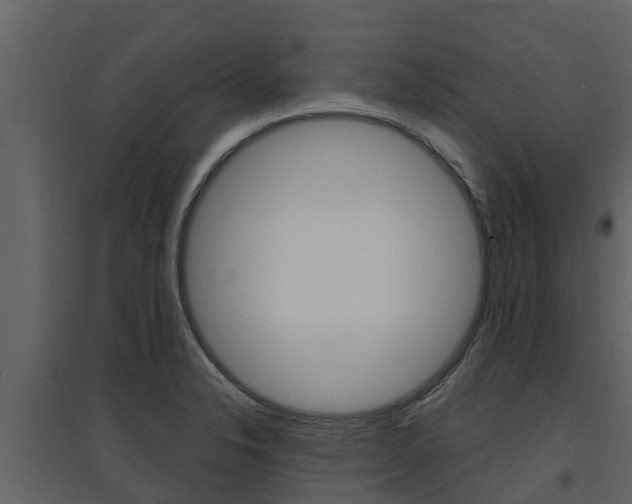 X0000097851326200803140848