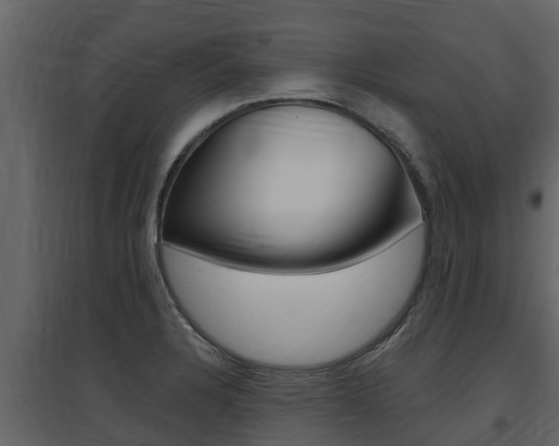 X0000097851328200803140848