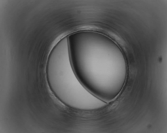 X0000097851330200803140848