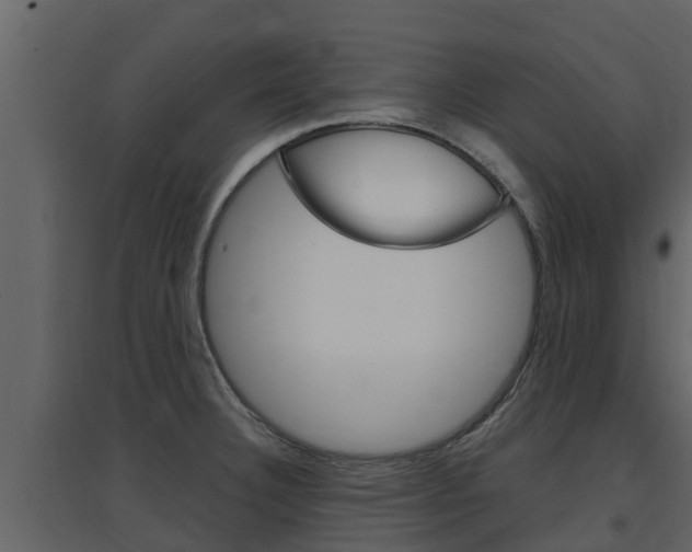 X0000097851332200803140848