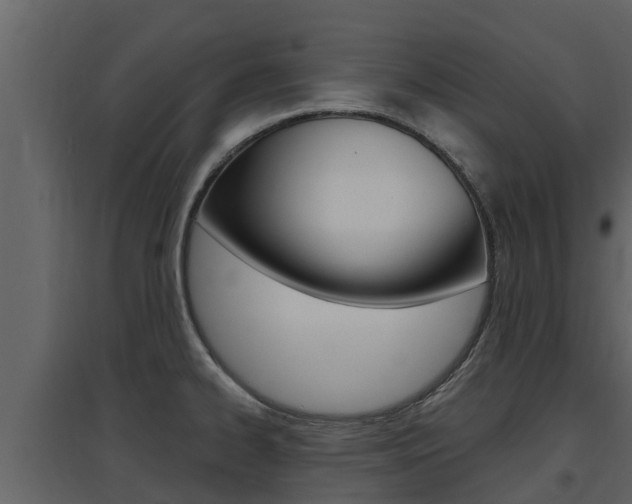 X0000097851334200803140848