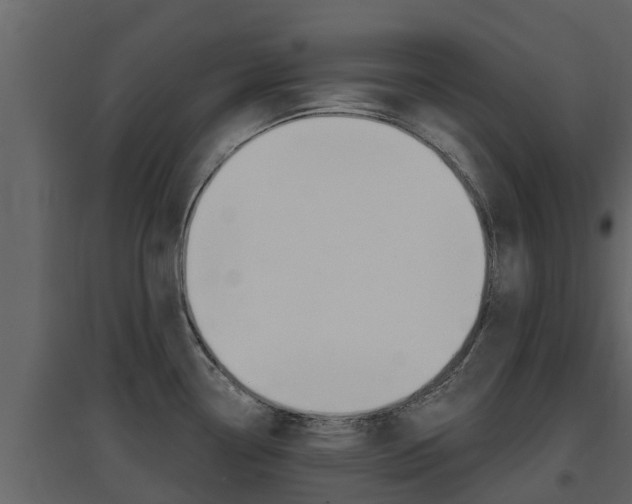 X0000097851338200803140848