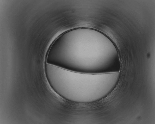 X0000097851339200803140848