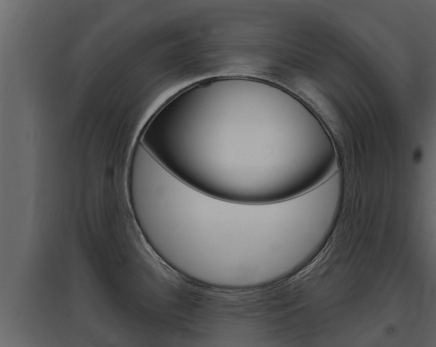 X0000097851340200803140848