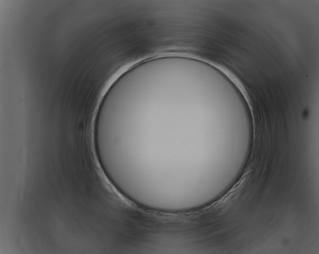 X0000097851341200803140848
