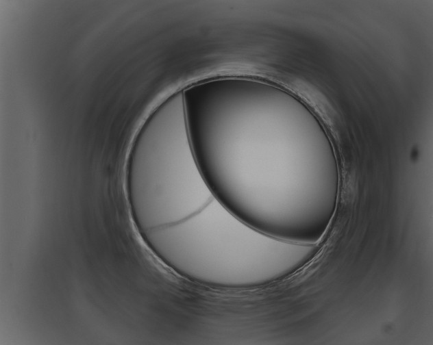 X0000097851342200803140848