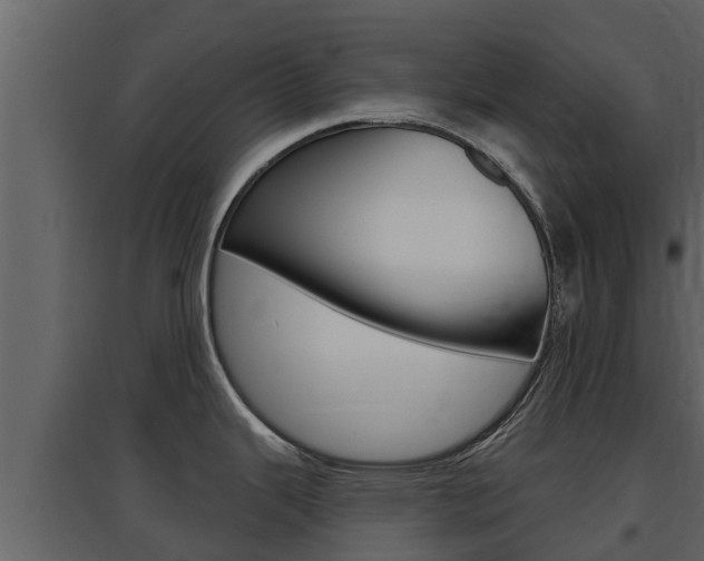 X0000097851343200803140848