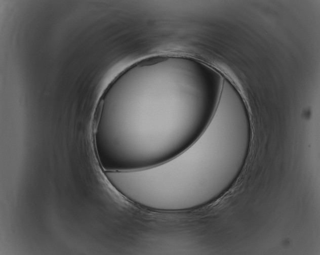X0000097851344200803140848