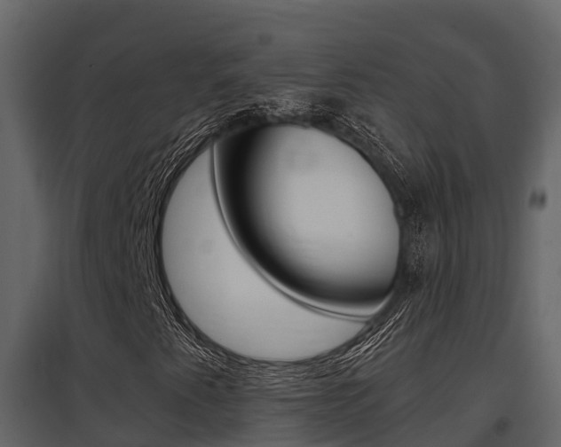 X0000097851345200803140847