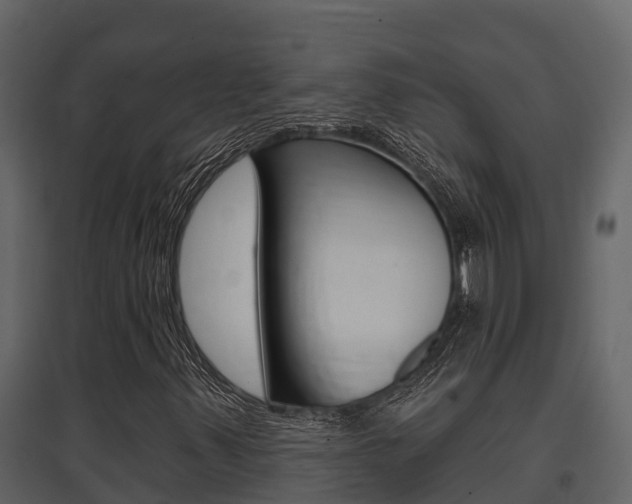 X0000097851347200803140847