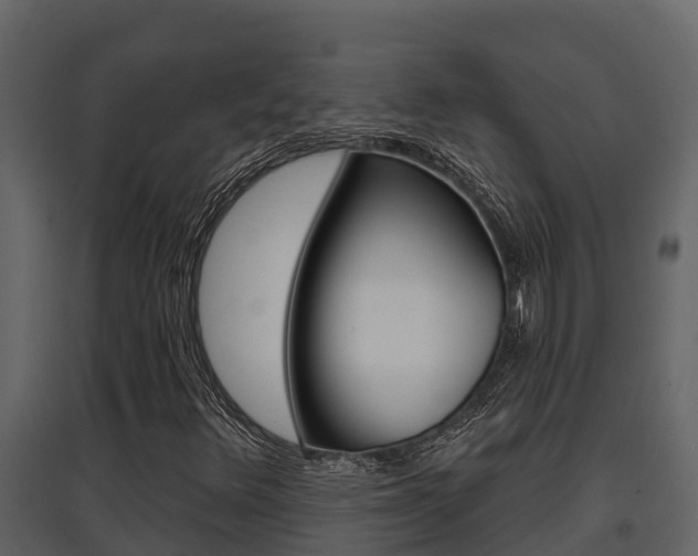 X0000097851348200803140847