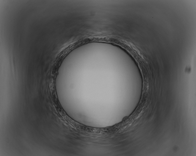 X0000097851350200803140847